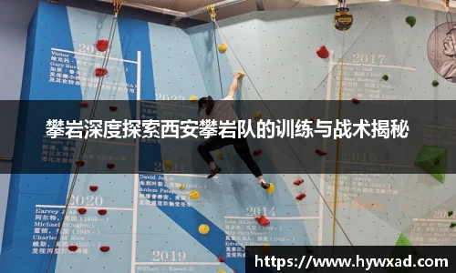 28圈体育