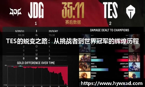 NG娱乐