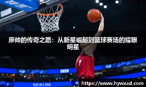 28圈体育